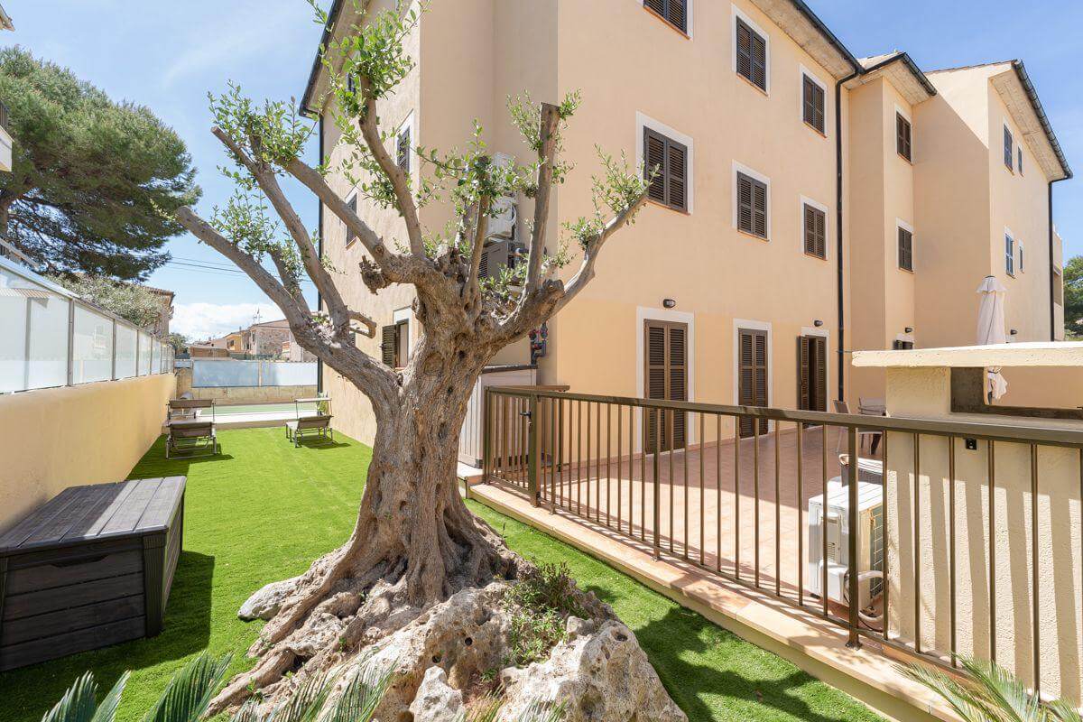 Fotografias de La Terracita · Canpicafort Holidays